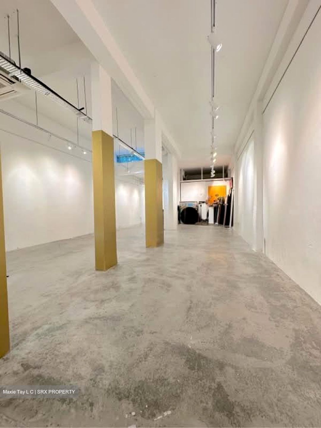 TIONG BAHRU ESTATE (D3), Shop House #602531601